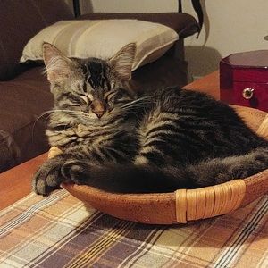 Meet your Posher, Victoria